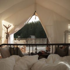 IMG-20250122-WA0003