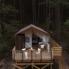 IMG-20250122-WA0006